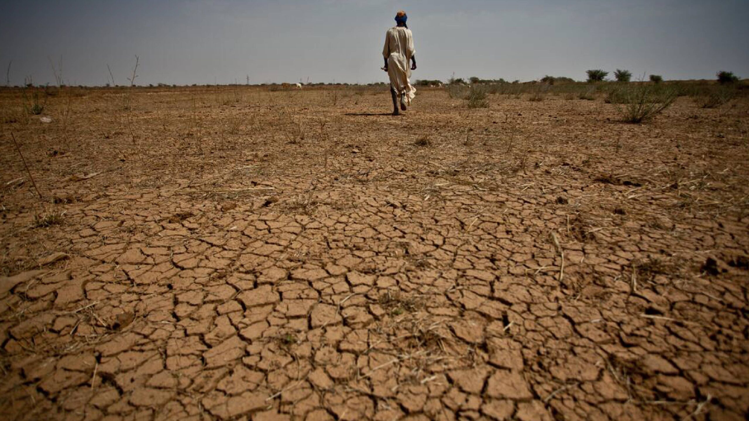 Climate Change and Africa’s Food Security Challenge