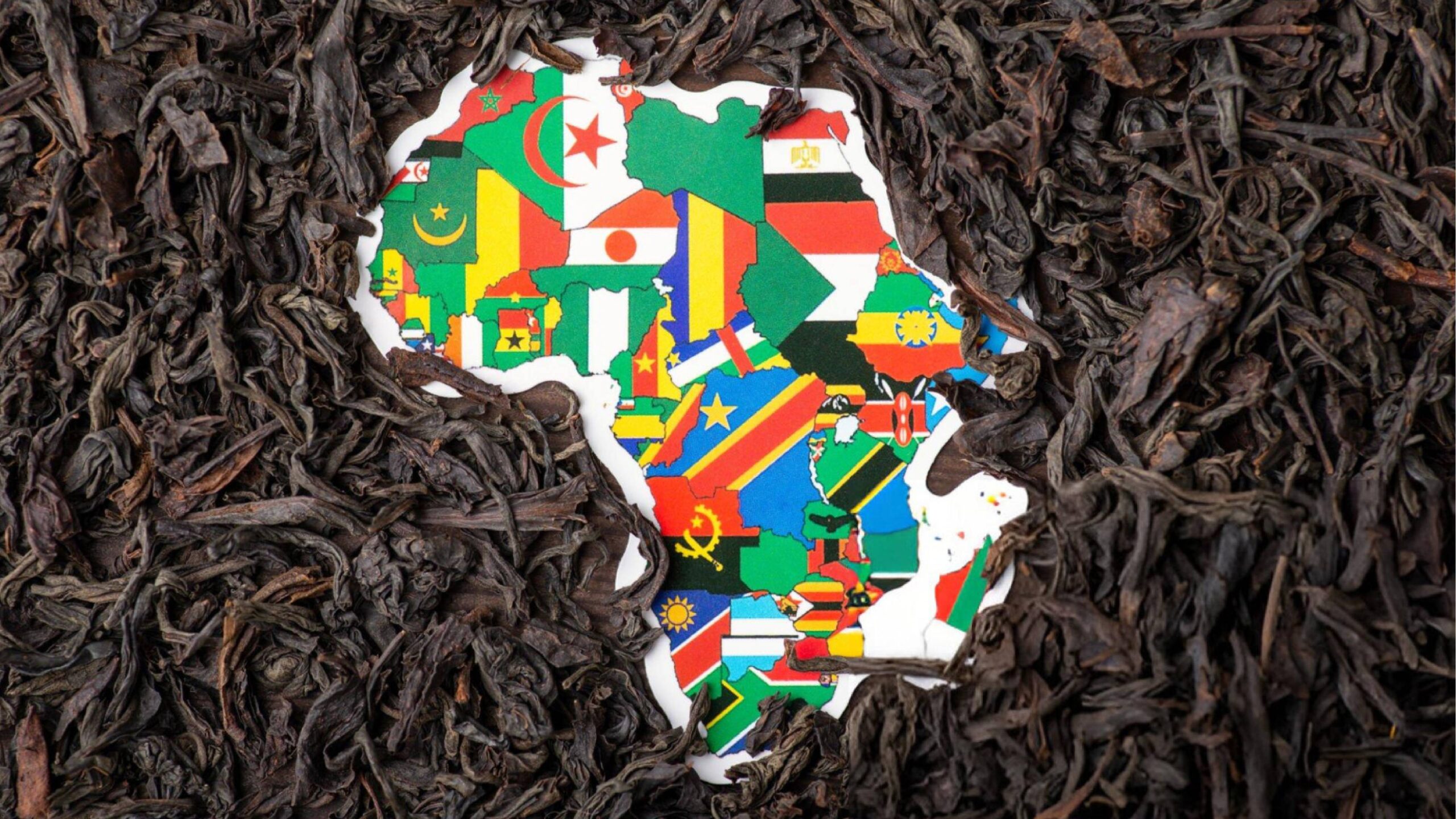 Memoirs of a Continent African Autobiographies Worth Reading